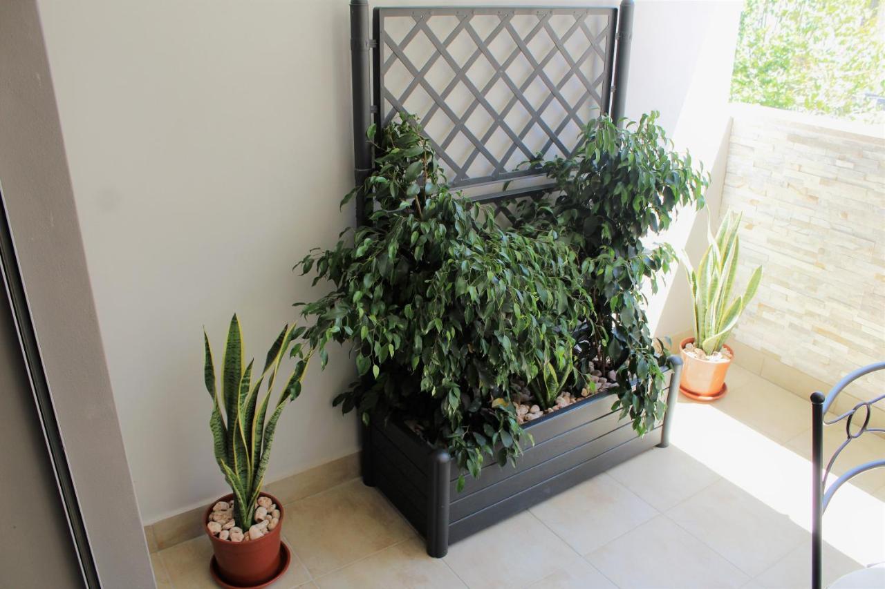 Casa Angelina Deluxe Apartment Lecce